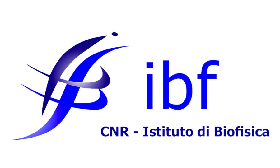 IBF CNR