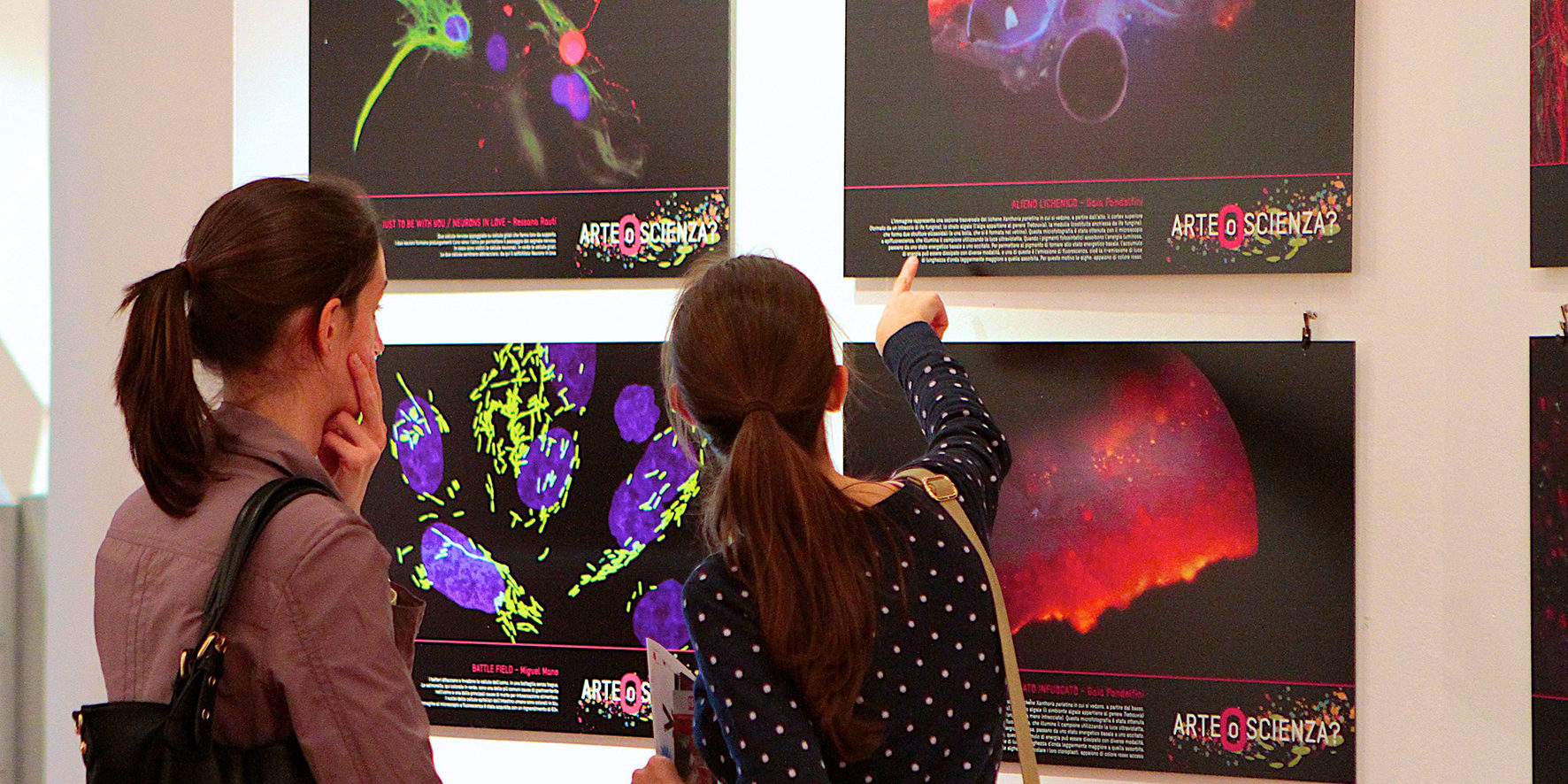 NewsTriesteDaInserire_ArteOScienza