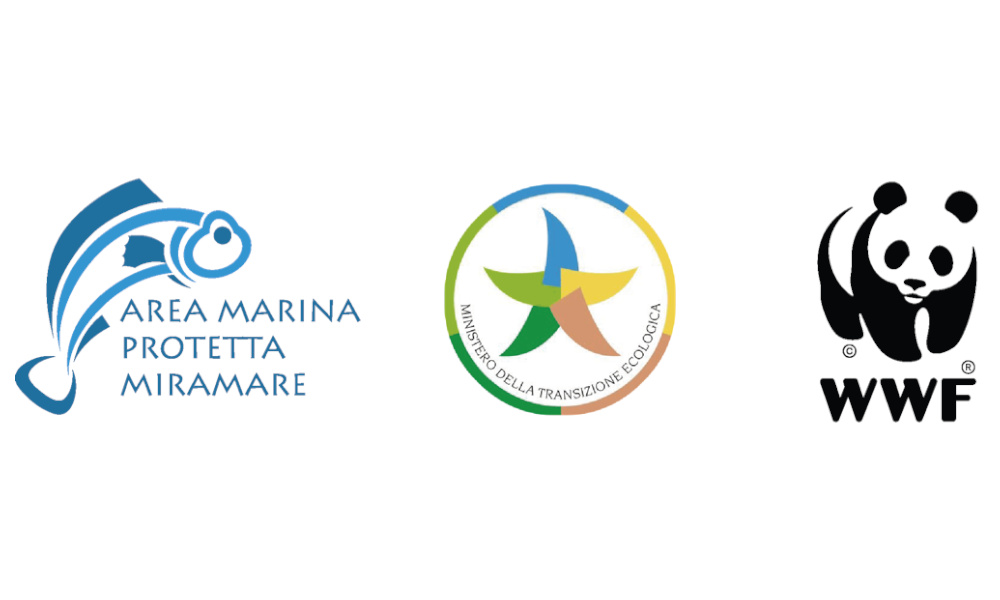 AMP Miramare (Trieste)