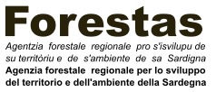 Agenzia Forestas