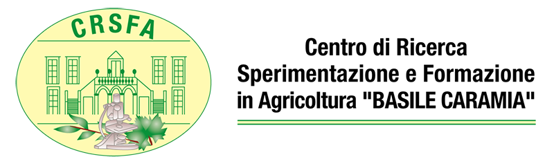 CRSFA Basile Caramia