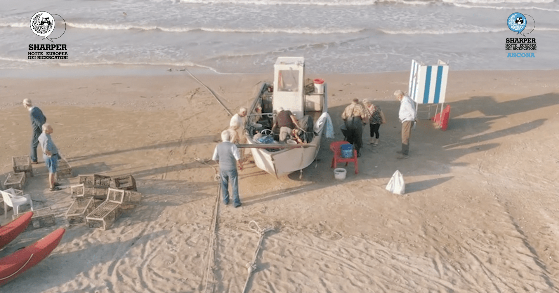 Uova di seppia, chi semina raccoglie