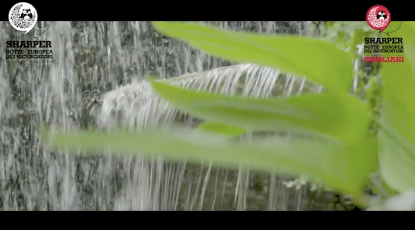 L’ORTO BOTANICO DI CAGLIARI: UN LABORATORIO A CIELO APERTO – Università di Cagliari