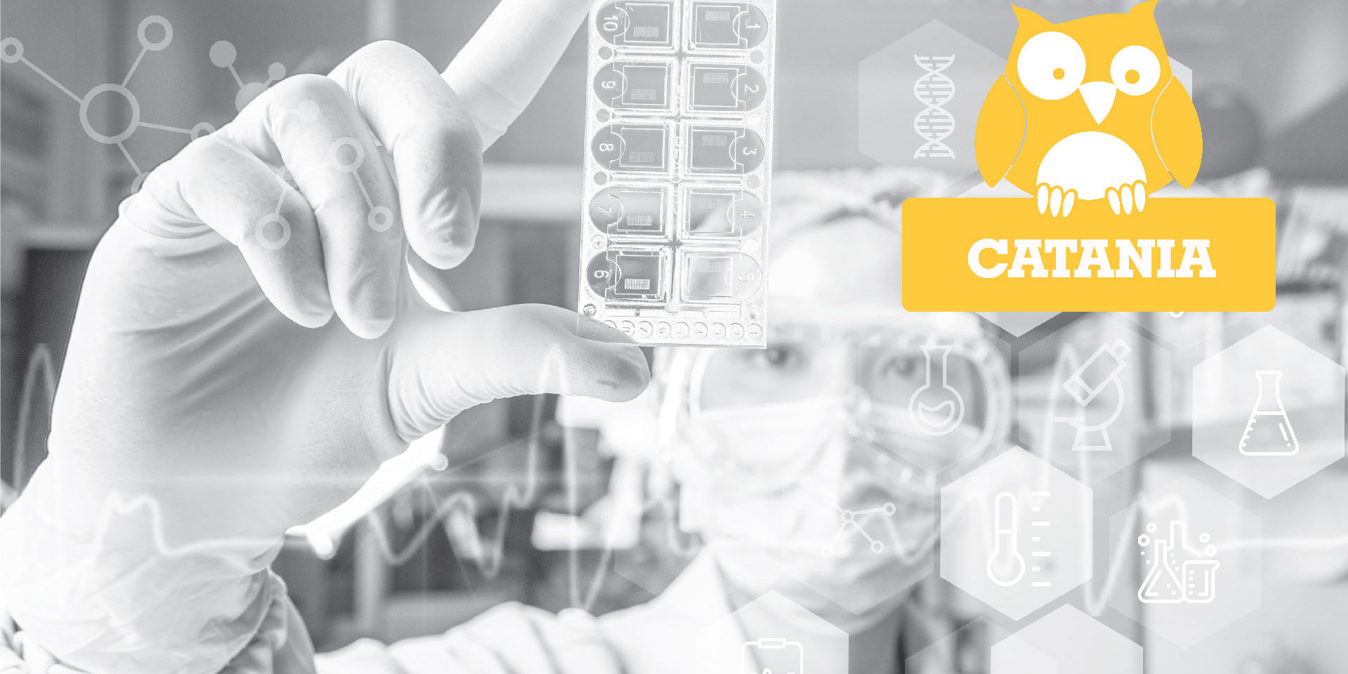 Il volto femminile della ricerca @Catania Il volto femminile della ricerca @Catania