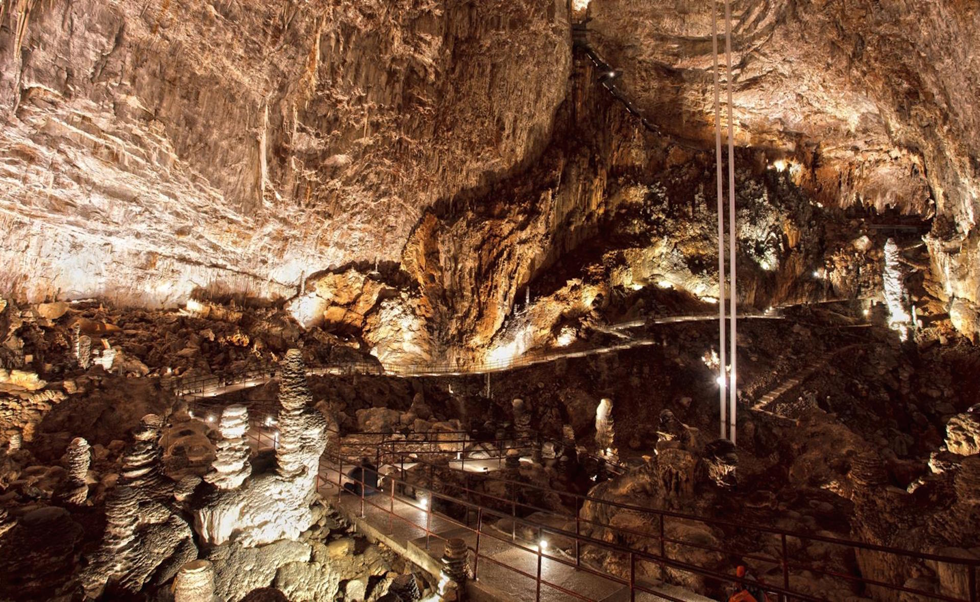 Grotta Gigante, PromoTurismo FVG, Università di Trieste, OGS