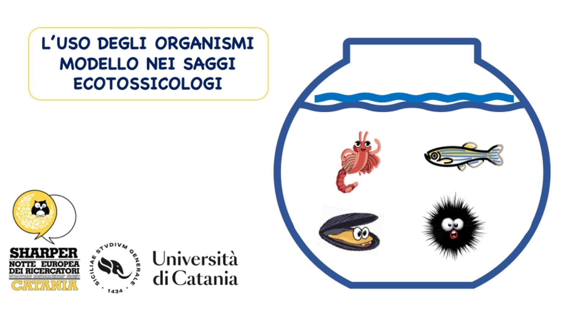 DSBGA - Unict, Università di Catania