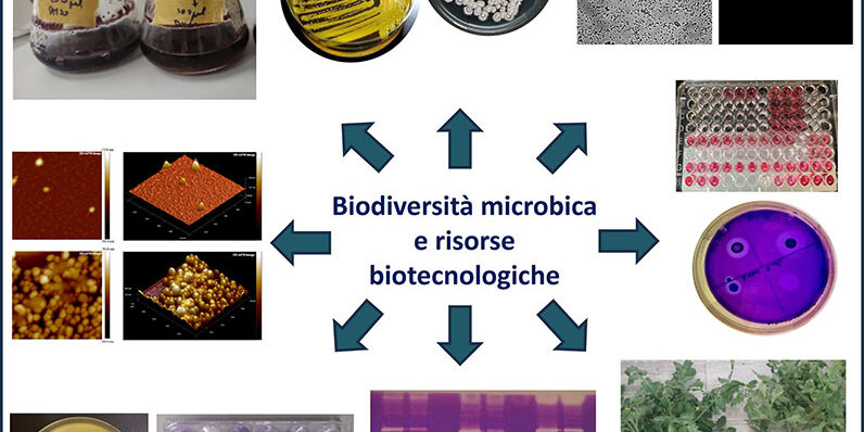 La biodiversità microbica come fonte di nuove opportunità e soluzioni sostenibili per diverse sfide