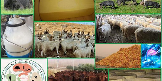 Alla scoperta della biodiversità zootecnica e delle filiere produttive