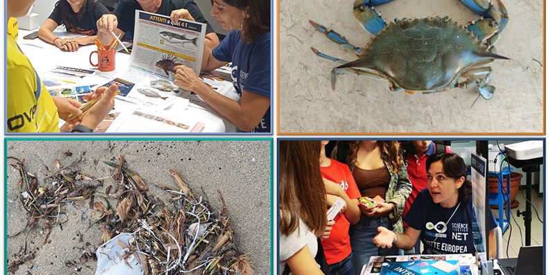 GIOCHIAMO CON SPECIE ALIENE E RIFIUTI MARINI
