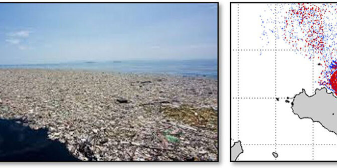 Plastiche nell’ambiente marino-costiero: come difenderci?
