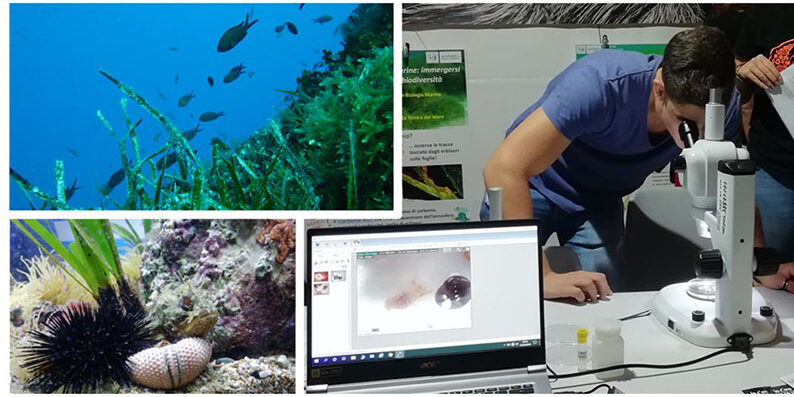 IL MARE CHE NON TI ASPETTI