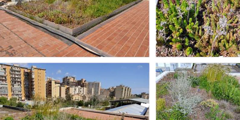 MODELLO DIDATTICO DI TETTO VERDE (GREEN ROOF) CON TECNOLOGIA POLDER