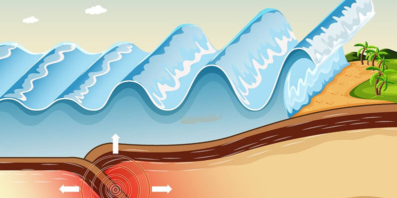 Tsunami in Azione: Modello Scientifico Live!