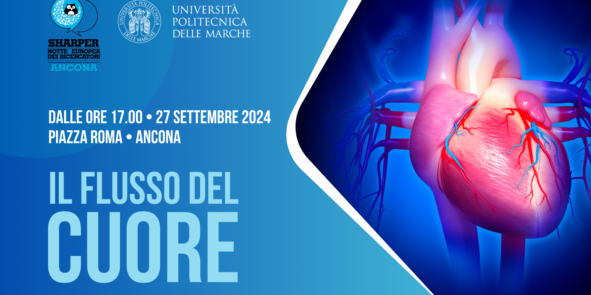 Il flusso del cuore
