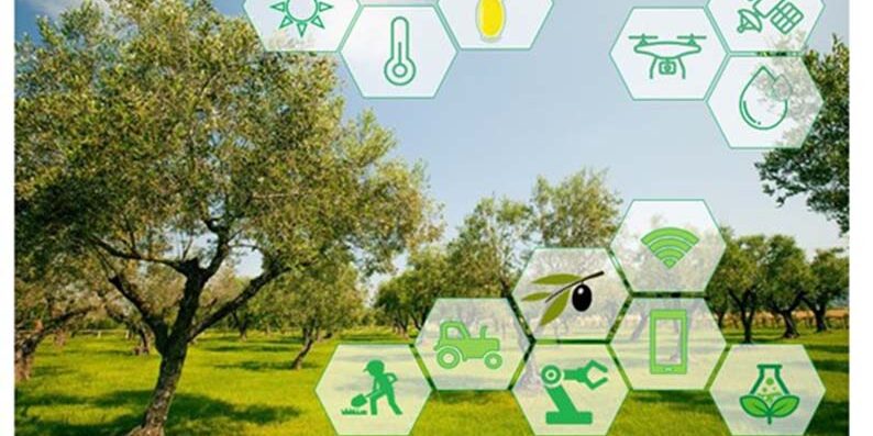 LE TECNOLOGIE DIGITALI PER UN’AGRICOLTURA SOSTENIBILE