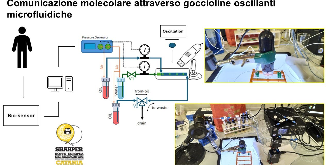 Comunicazione molecolare attraverso goccioline oscillanti microfluidiche