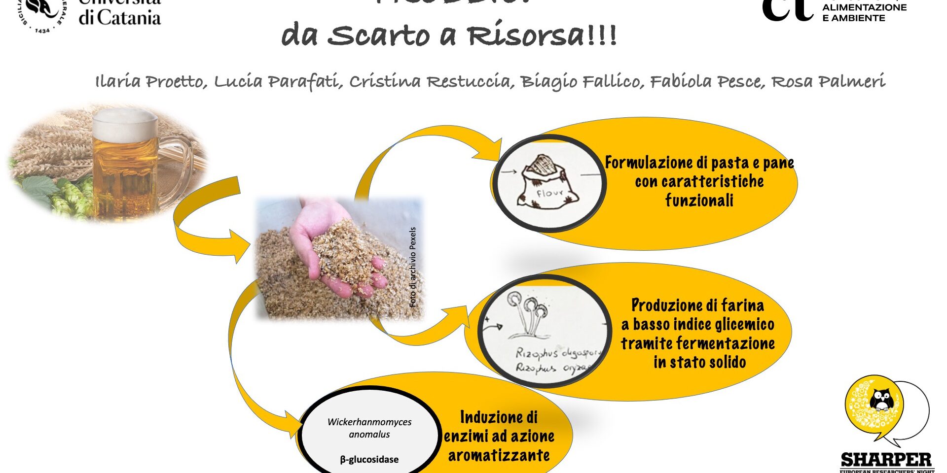 TREBBIE: da Scarto a Risorsa!!!