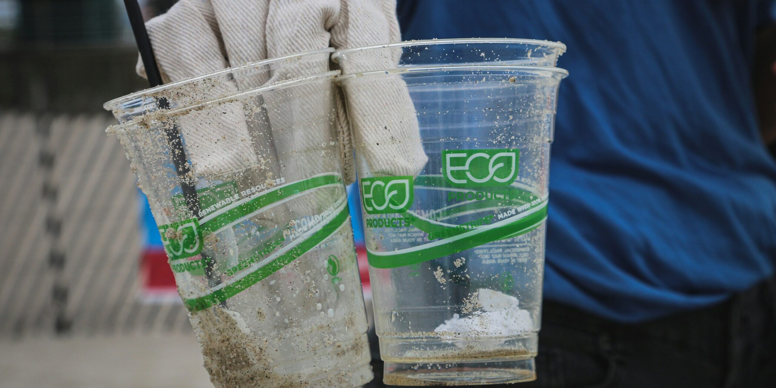 MEET A PHD STUDENT: THE DARK SIDE OF THE GREEN: SMASCHERARE IL GREENWASHING E TUTELARE I CONSUMATORI.