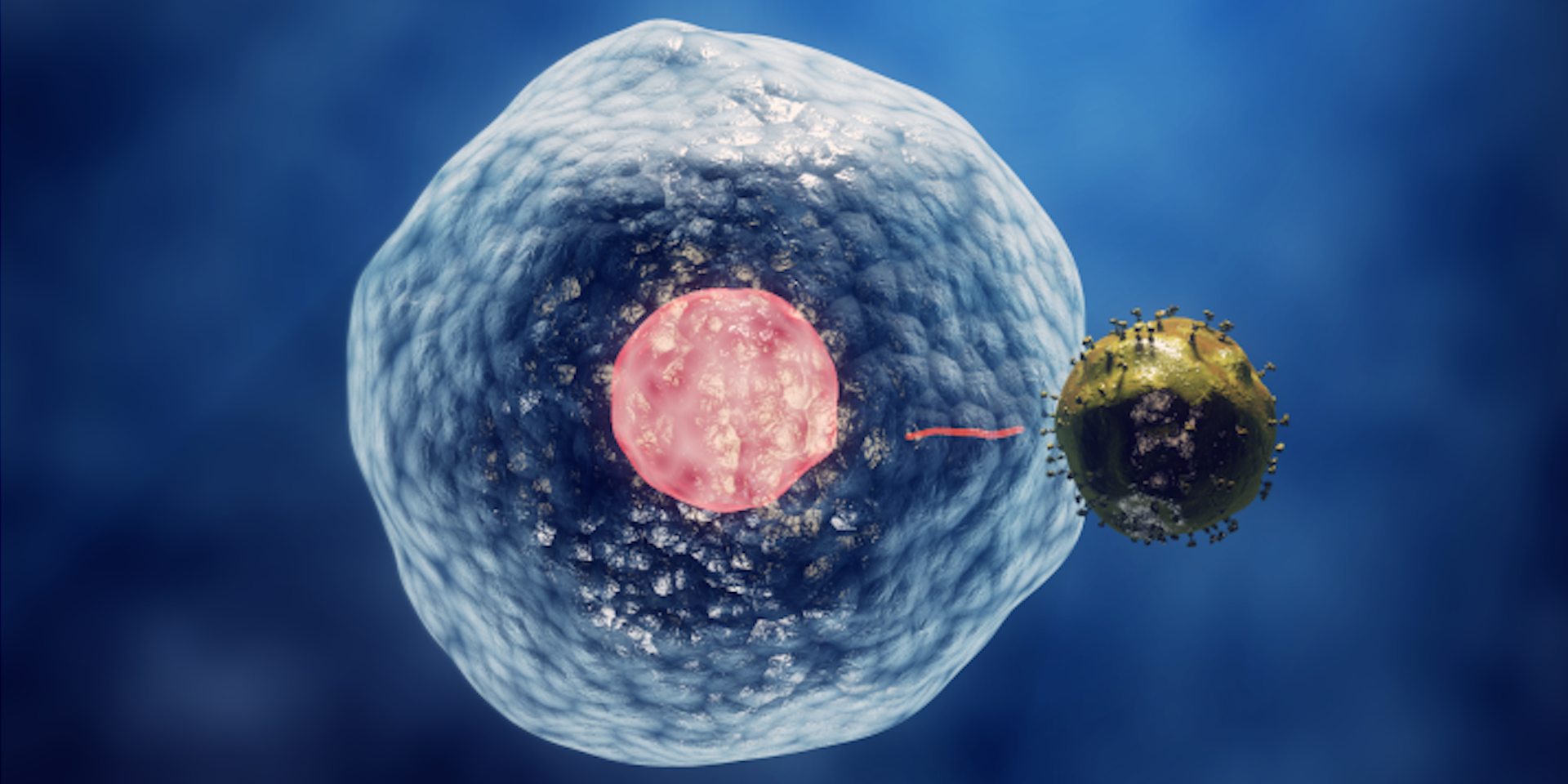 Scienza in Piazza: MALATTIE GENETICHE