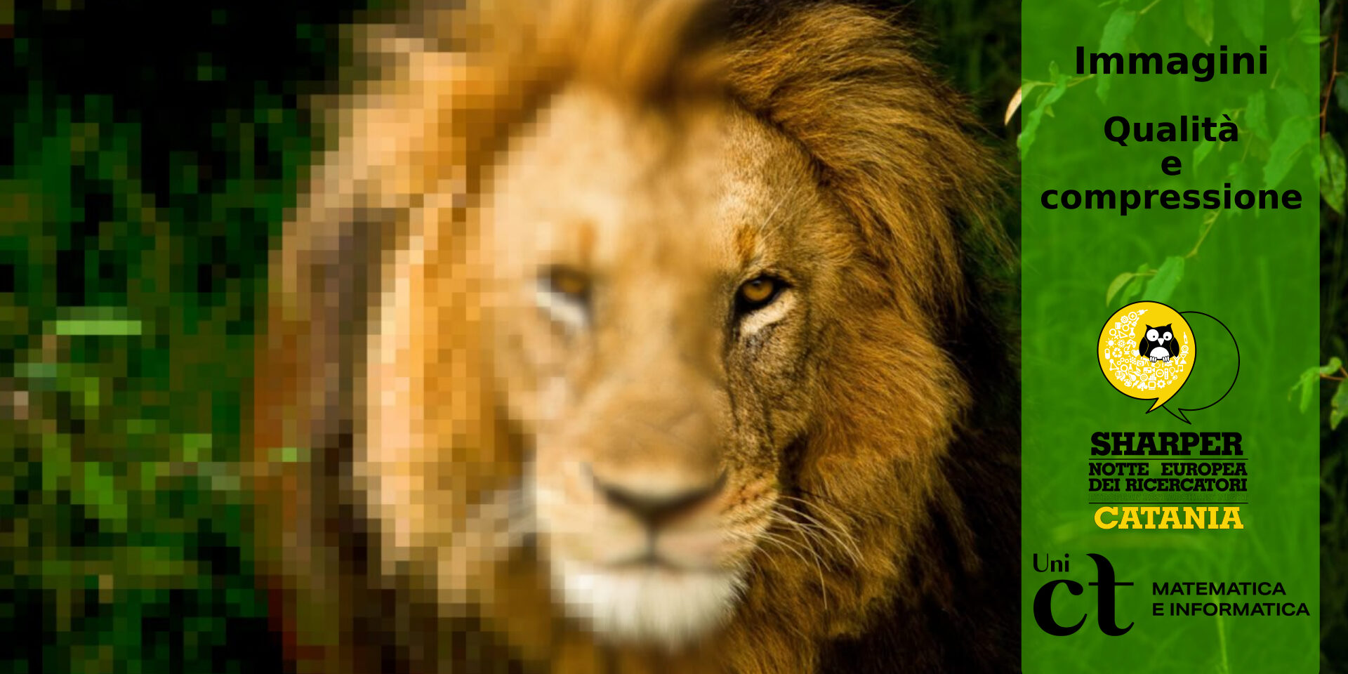 Qualità e compressione