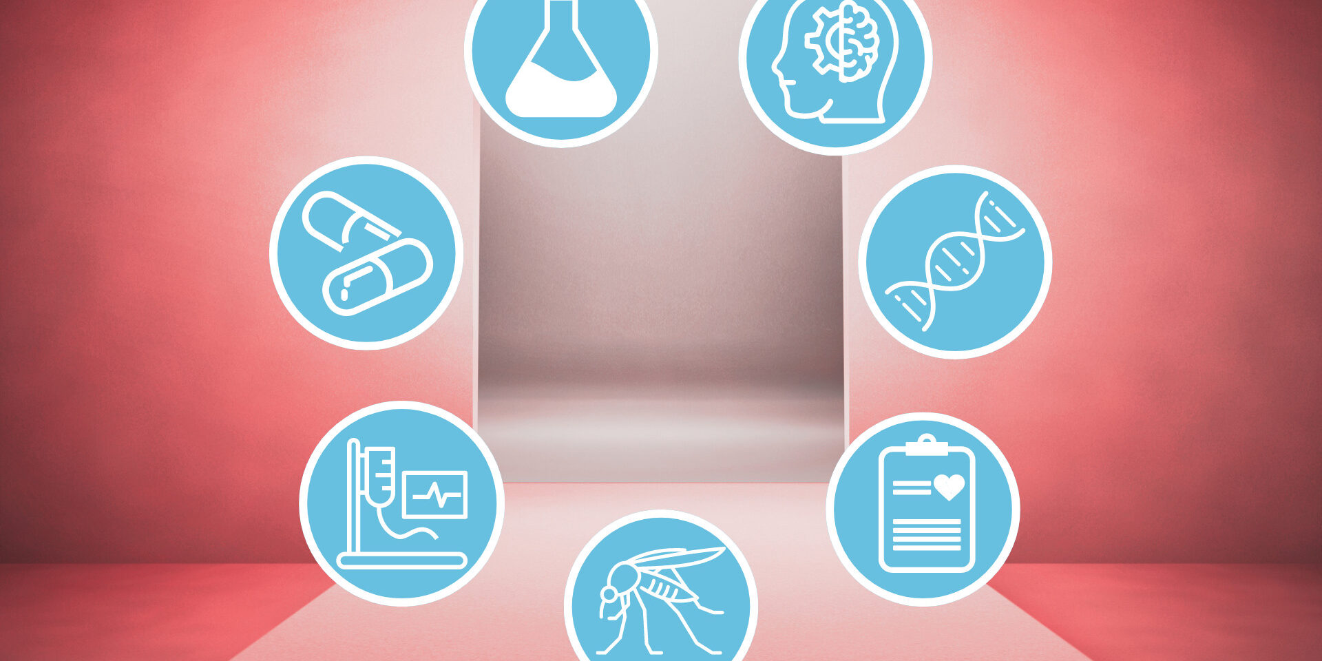 Modelli in passerella