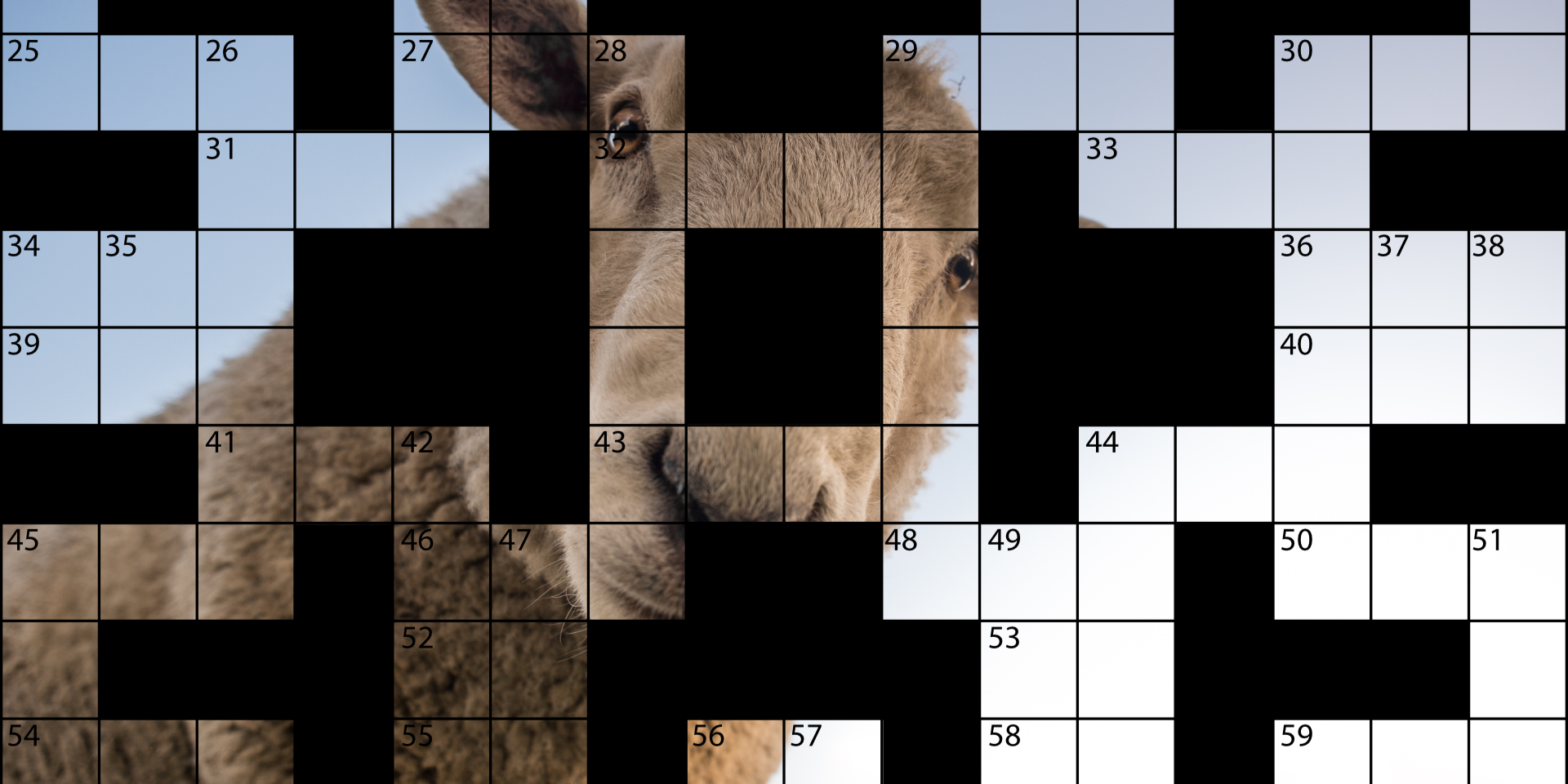 Veterinaria enigmistica