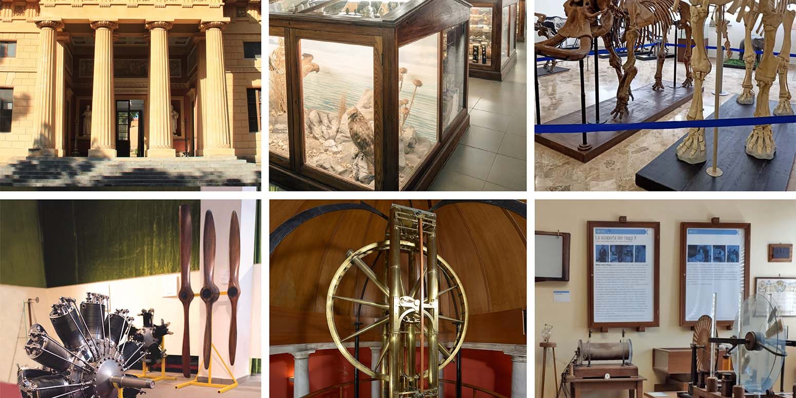 Una notte al Museo: il patrimonio di Unipa tra storia, scienza e tecnologia