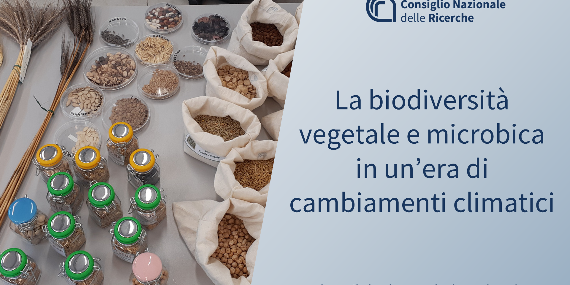 La biodiversità vegetale e microbica in un’era di cambiamenti climatici