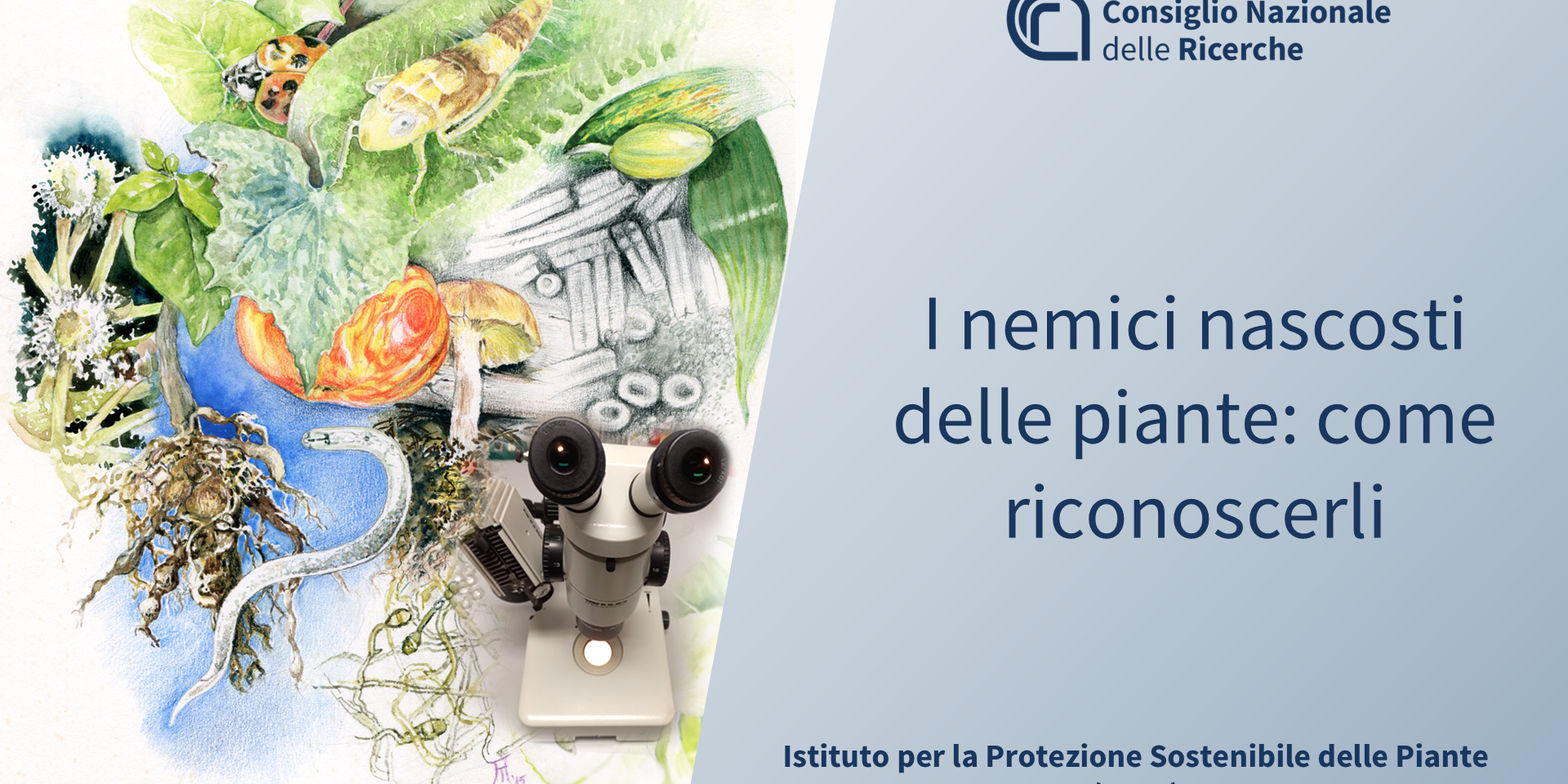 I nemici nascosti delle piante: come riconoscerli