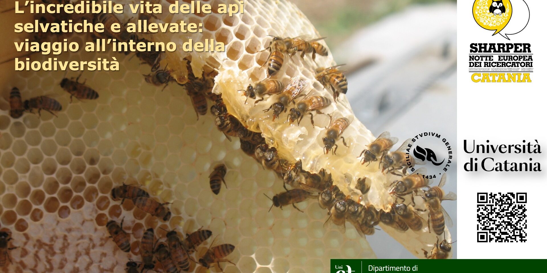 L’incredibile vita delle api selvatiche e allevate: viaggio all’interno della biodiversità