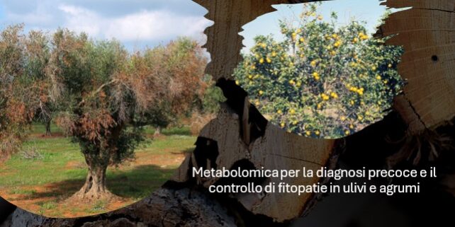 Metabolomica per il controllo delle fitopatie