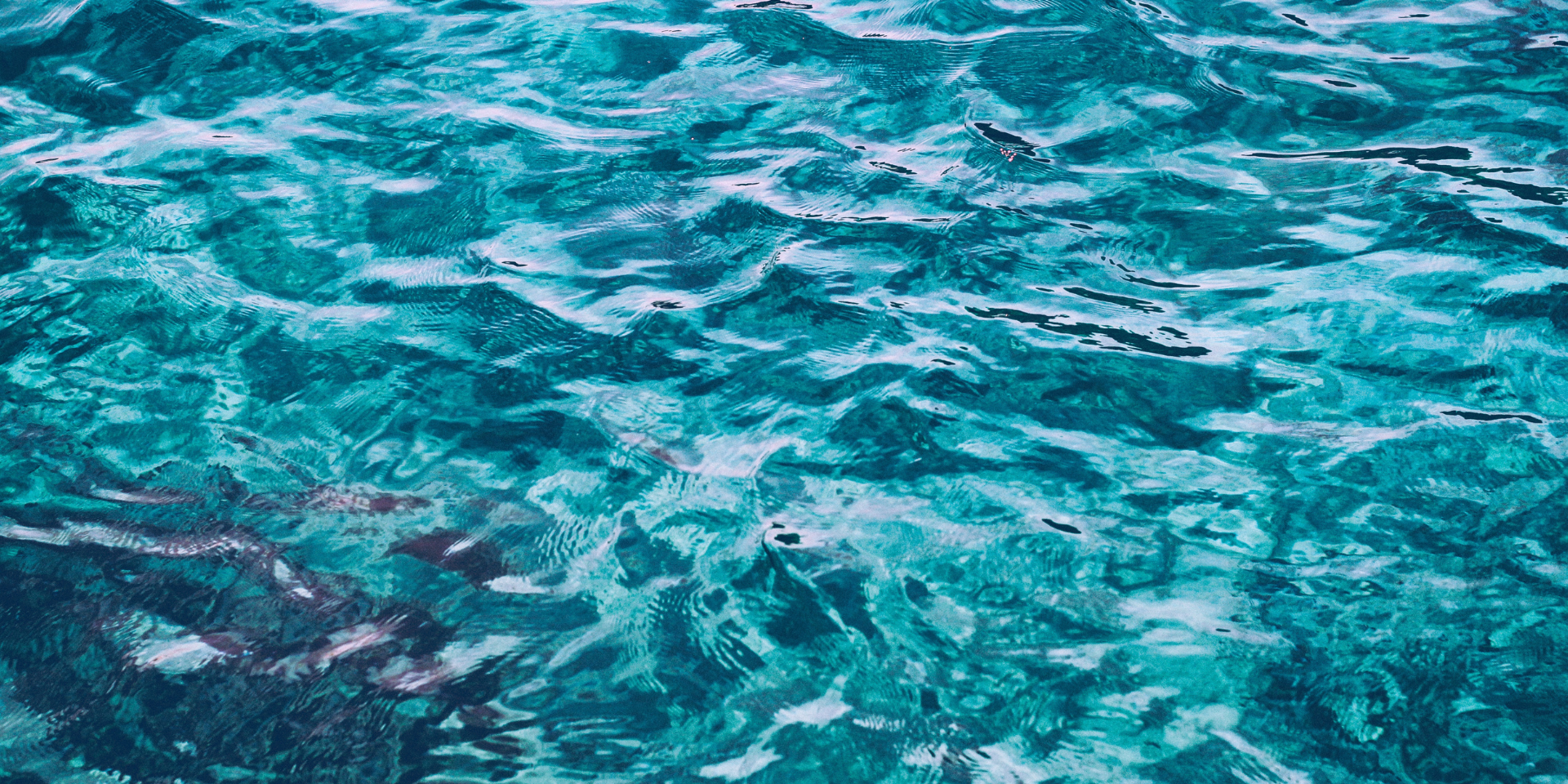 UN TUFFO IN UN MARE GELATO