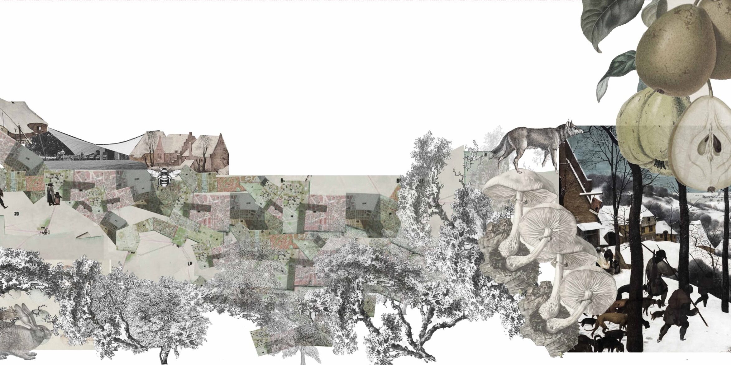 Laboratorio “Scala”: architettura di comunità