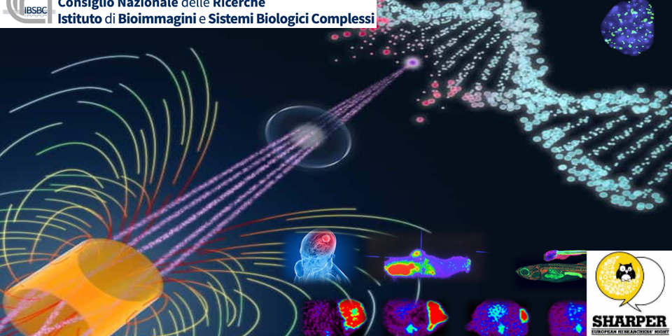 Biologia, fisica ed ingegneria per curare i tumori