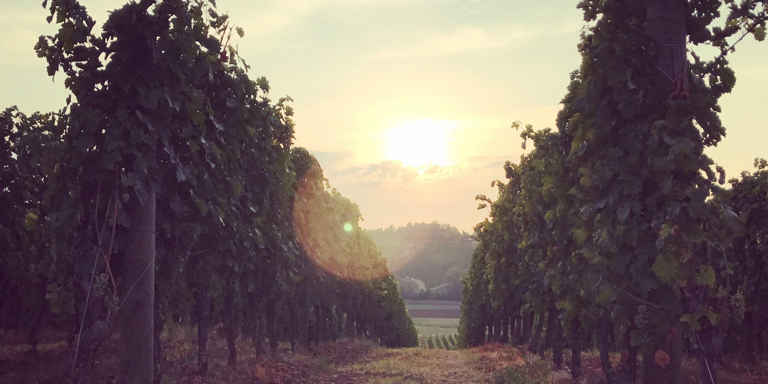 I misteri del linguaggio