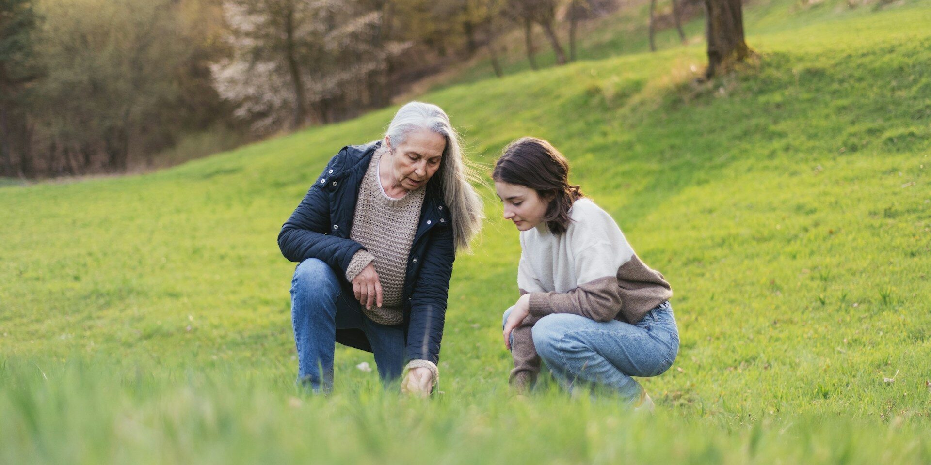 Non solo monumenti: dalla conservazione al restauro della natura