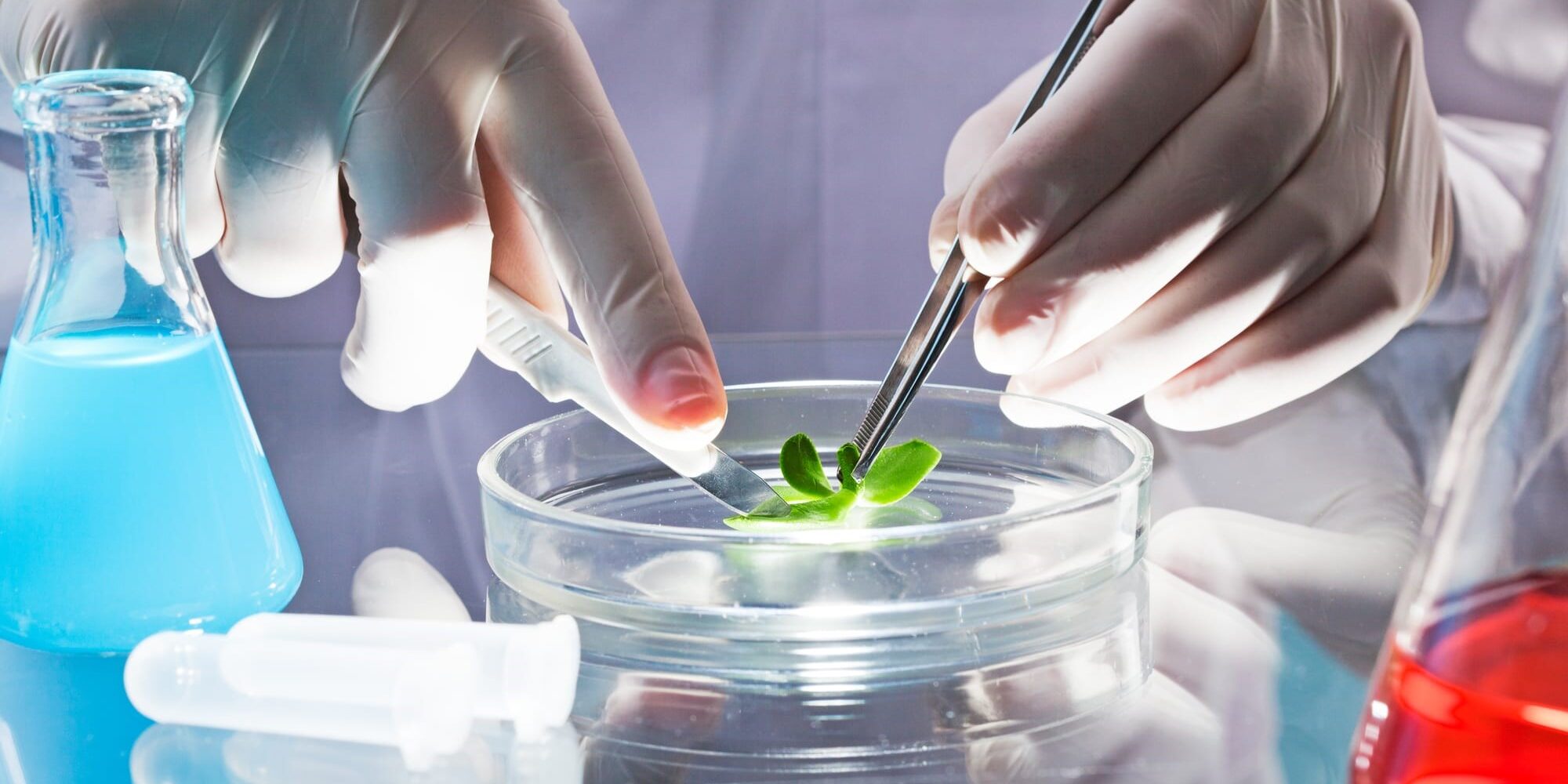 Biotecnologie sanitarie e ambientali