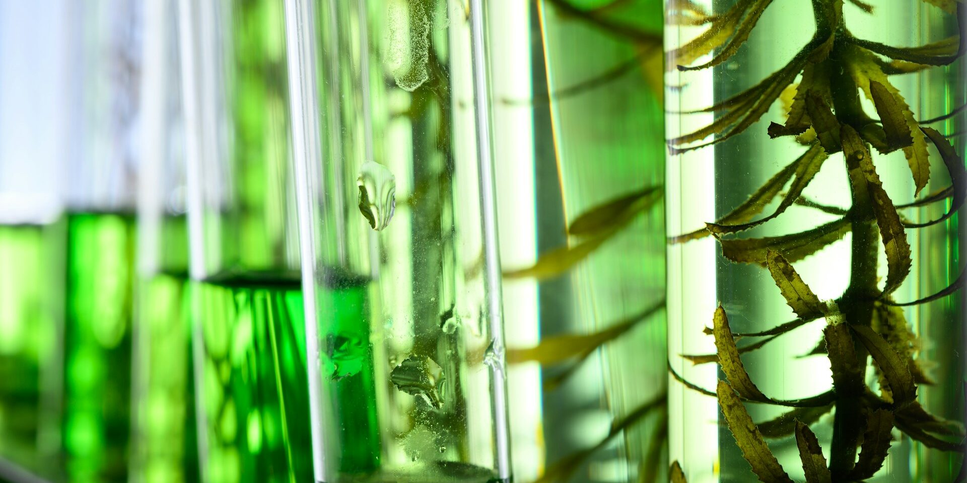 Chimica e Ambiente: per un futuro sostenibile