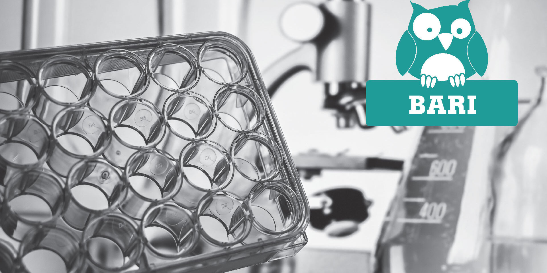 Alla “ricerca” della sostenibilità