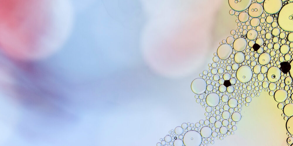 PAROLA DI SCIENZA “Mimetizzazione”