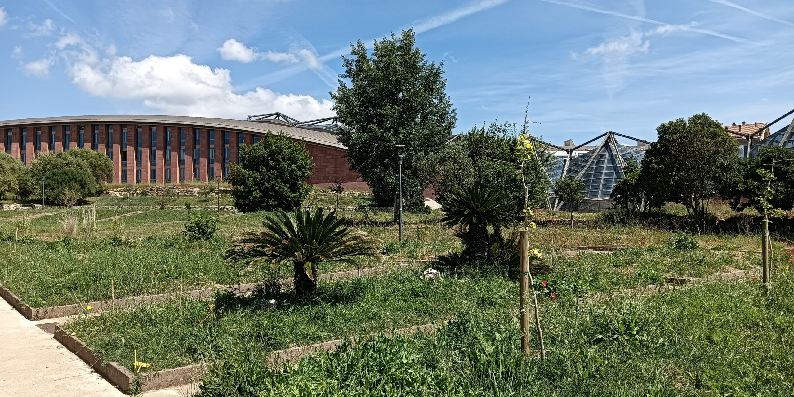 PASSI NEL VERDE. Curiosando all’Orto Botanico