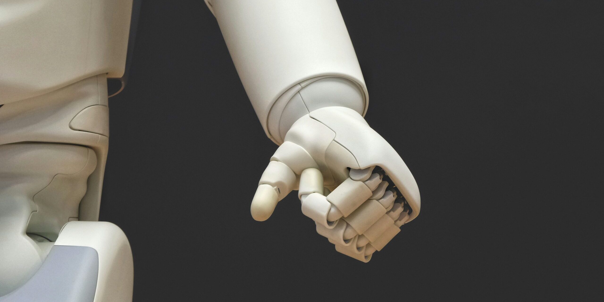 I sistemi robotizzati e i robot umanoidi