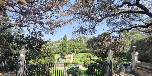 L’infrastruttura verde della città di Sassari: stato dell’ambiente, servizi ecosistemici, coinvolgimento della comunità e prospettive future