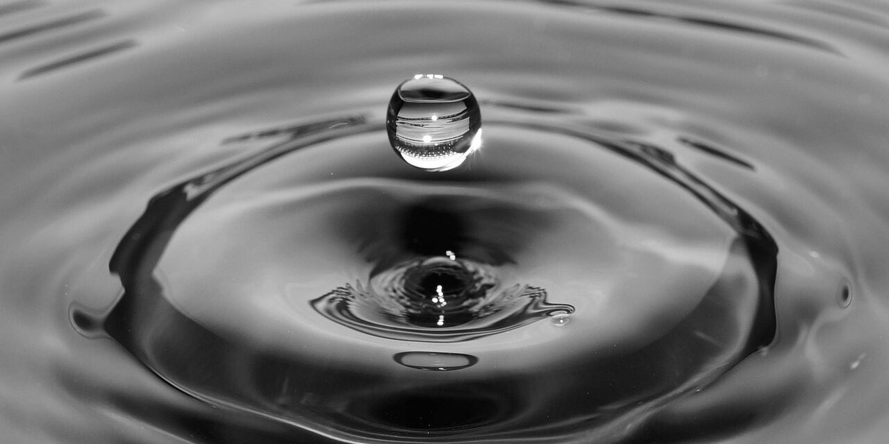 Intrigante viaggio nell’ecosistema marino