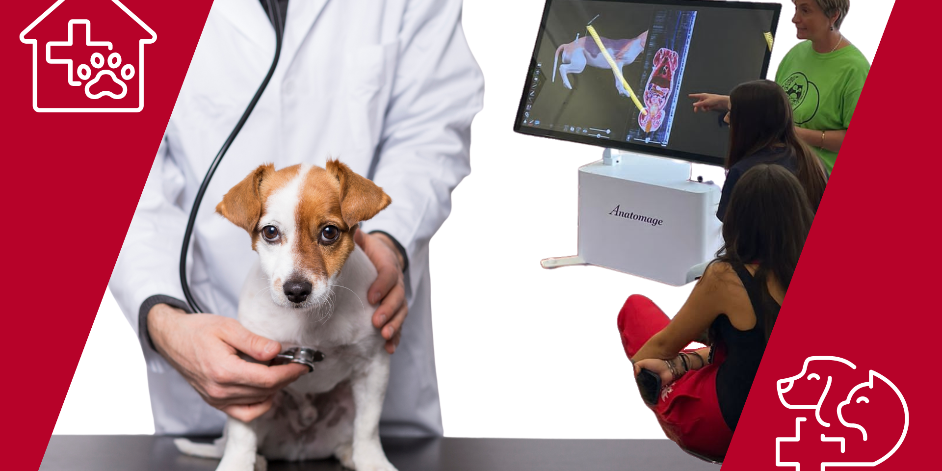 Veterinario per un giorno