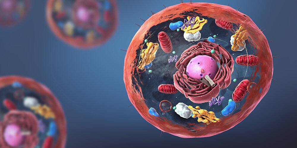 1 ORA CON IL RICERCATORE – La cellula