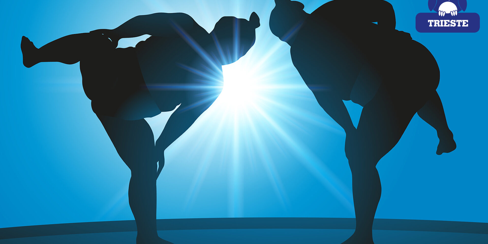 SUMO SCIENCE ALLA MAKER FAIRE – aspettando Sharper