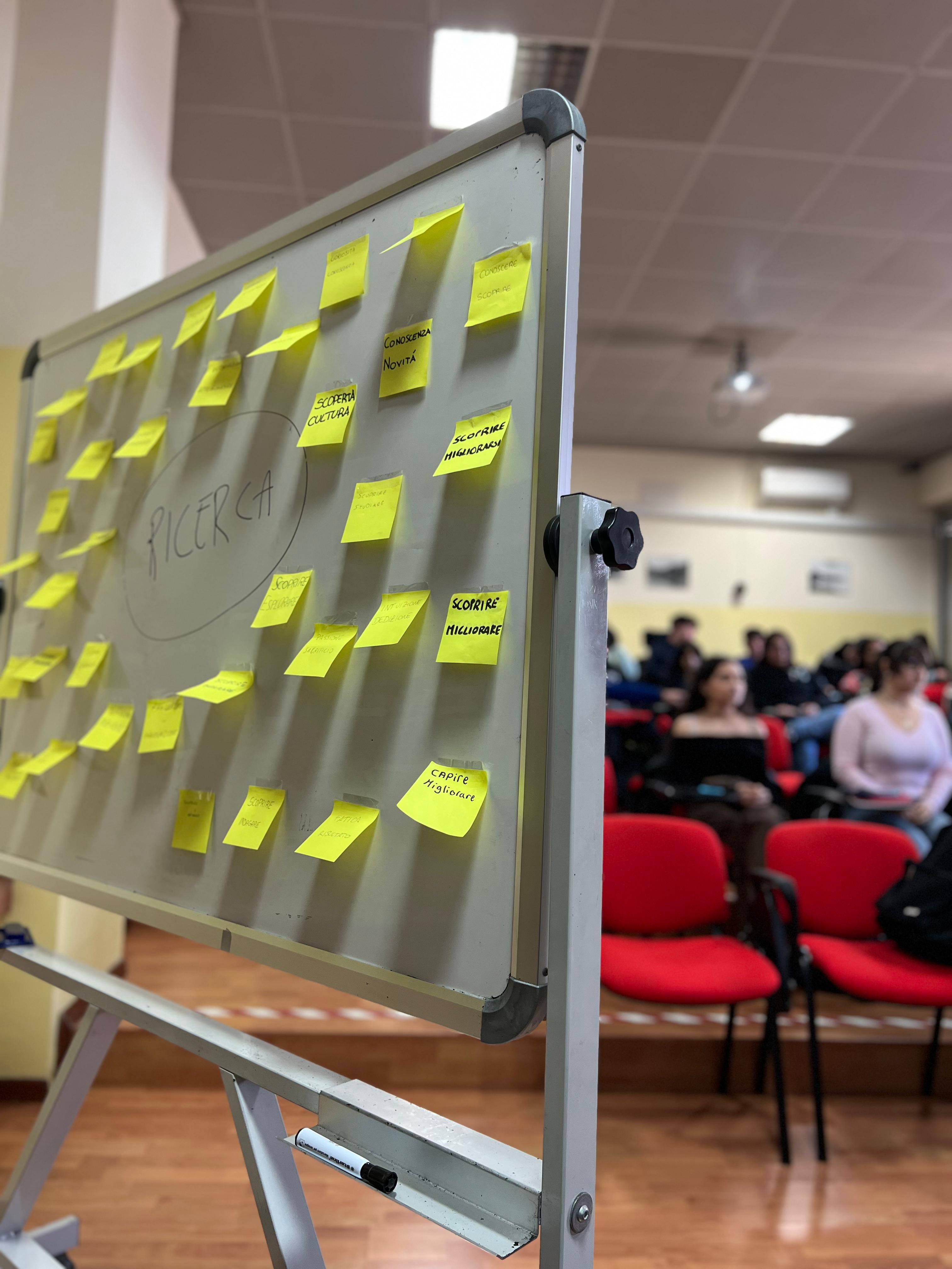 Università degli Studi di Cagliari