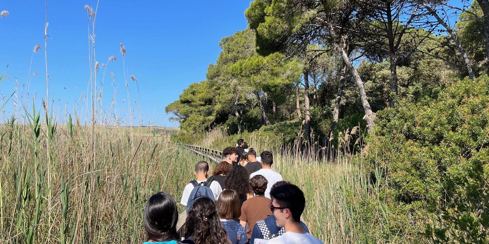 Scienza aperta a Platamona – Passeggiata naturalistica e laboratori per tutti
