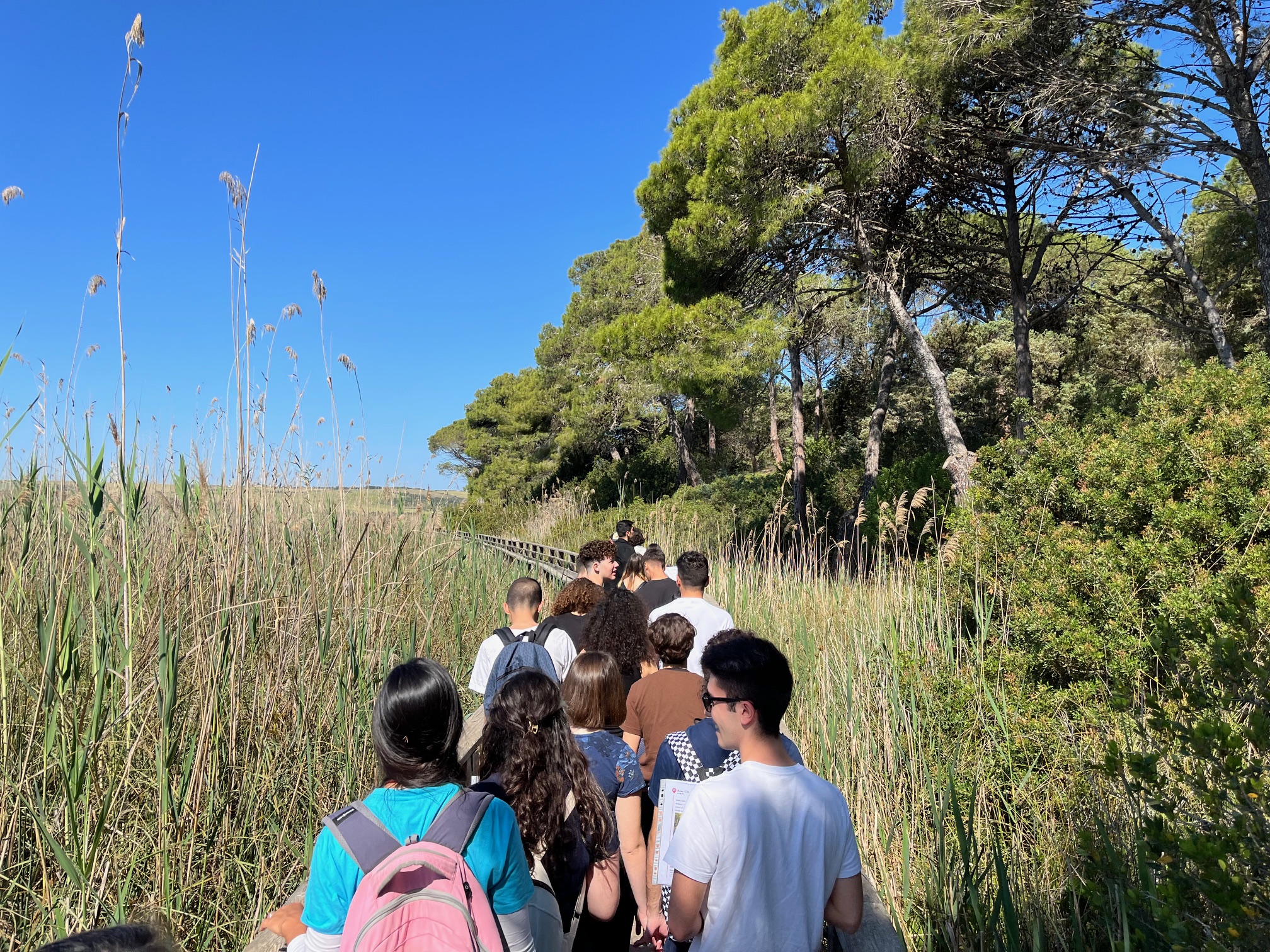 Scienza aperta a Platamona – Passeggiata naturalistica e laboratori per tutti